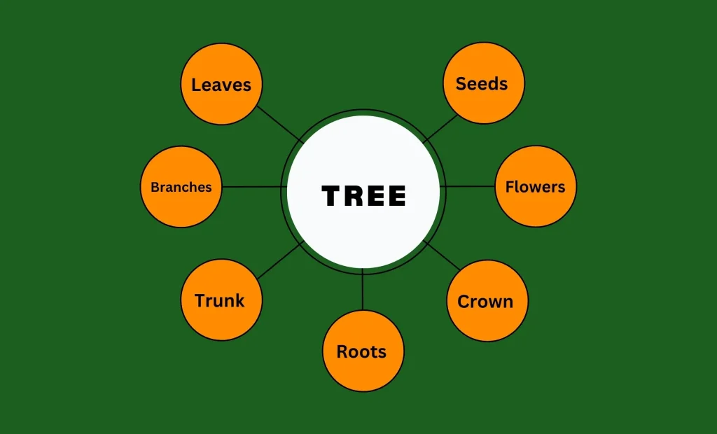 parts of a tree